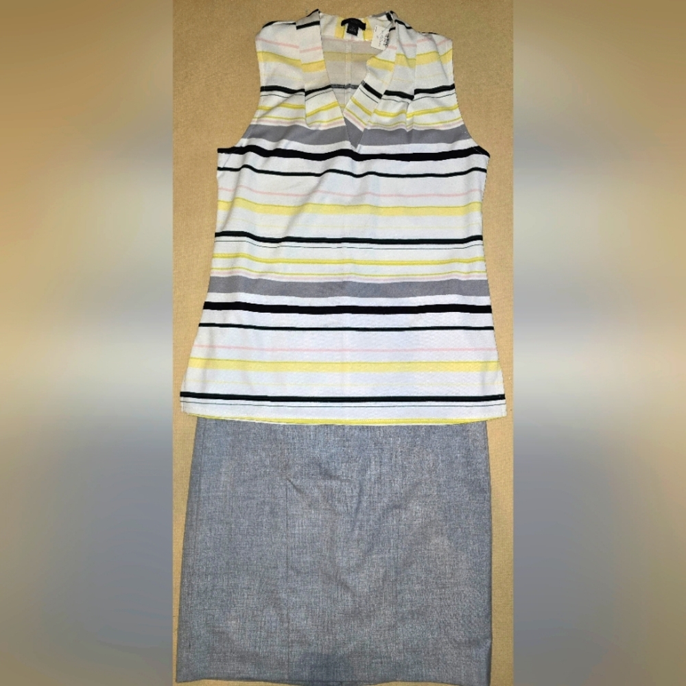 The Limited Skirt + Ann Taylor (NWT) Shirt